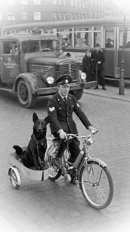 poliziotto con cane