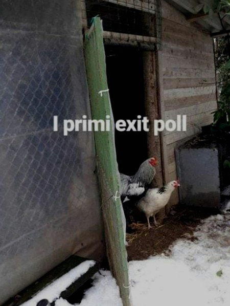 exit poll