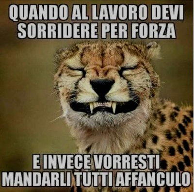 quando al lavoro devi sorridere