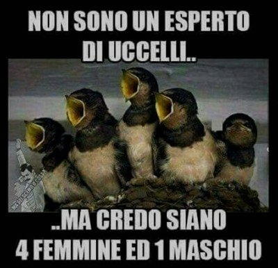 Uccelli