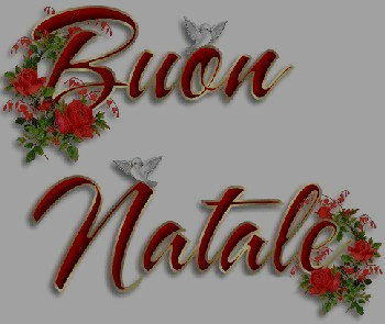 Buon Natale con fiori