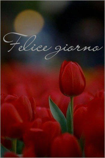 Felice giorno