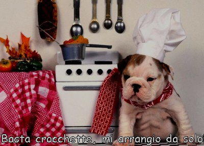 cane chef divertente