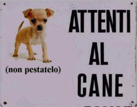 cani attenti al cane