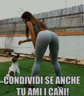 cani condividi se ami i cani