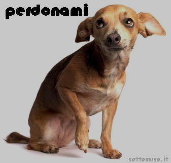 cani perdonami