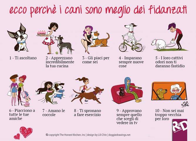 Vignetta cani o fidanzati