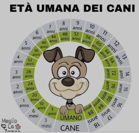 eta umana dei cani