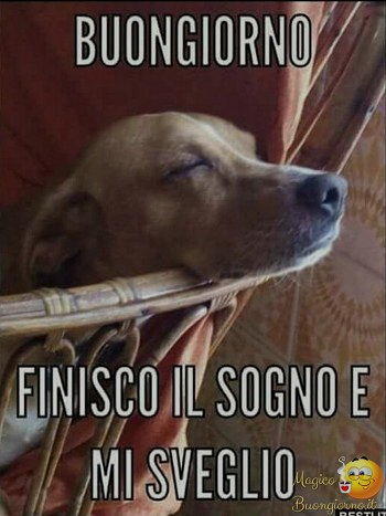 finisco il sogno