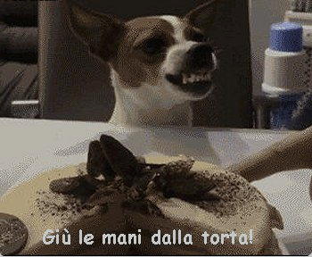 giu le mani dalla torta