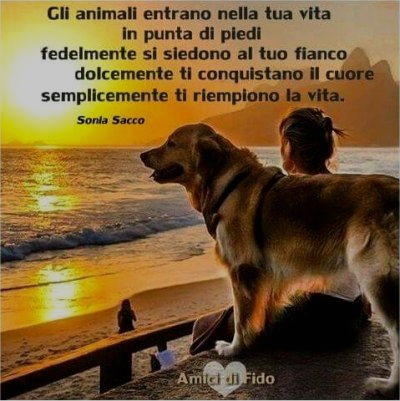 gli animali entrano nella tua vita