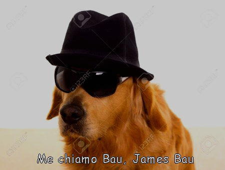 me chiamo bau james bau