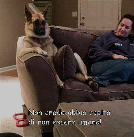 non credo abbia capito non essere umano