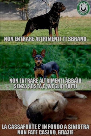 non entrare