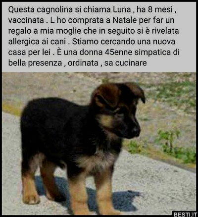 questa cagnolina si chiama luna