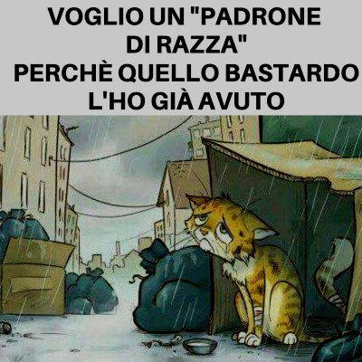 voglio un padrone