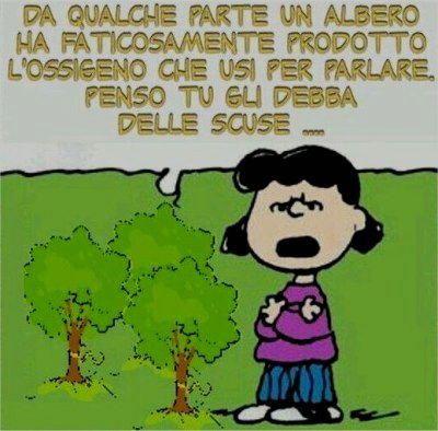 da qualche parte un albero