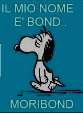 il mio nome e bond