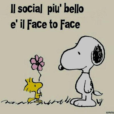 il social piu bello