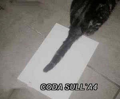 coda su a4