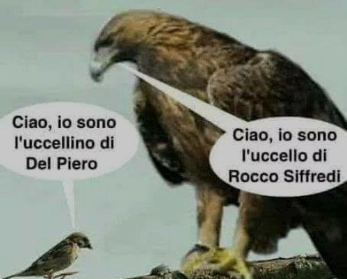 uccellino di del piero