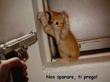 non sparare