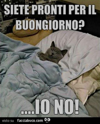 pronti per il buongiorno