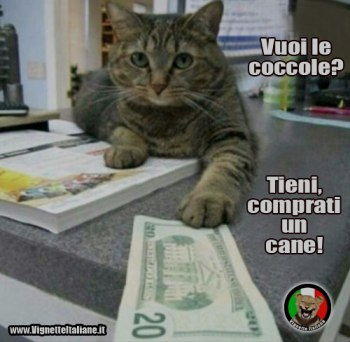 vuoi le coccole