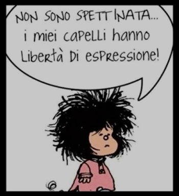 Vignetta non sono spettinata