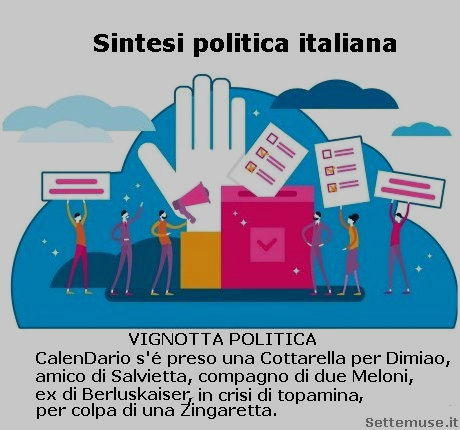 sintesi politica