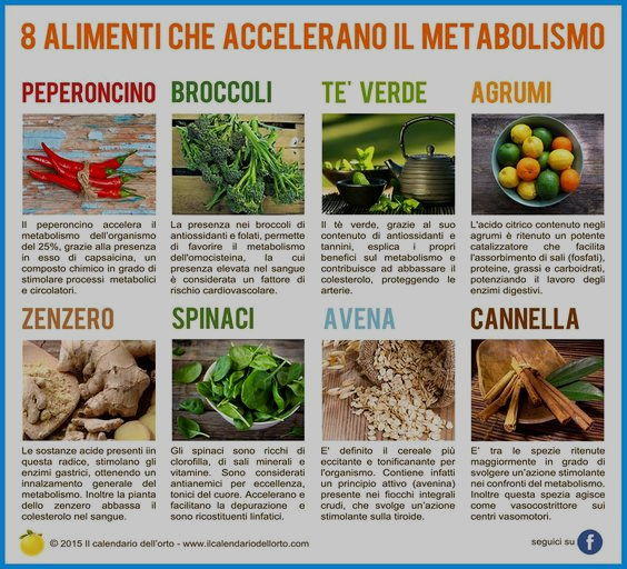 accelerano il metabolismo