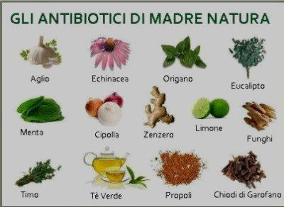 alimenti antibiotici naturali