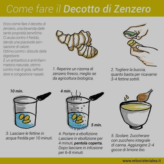 decotto di zenzero