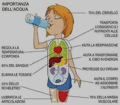 Vignetta importanza acqua