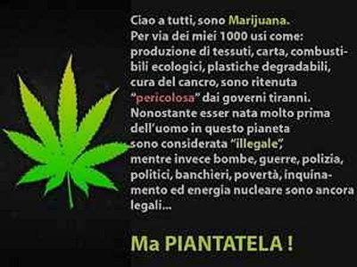 Vignetta marijuana