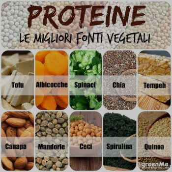 proteine