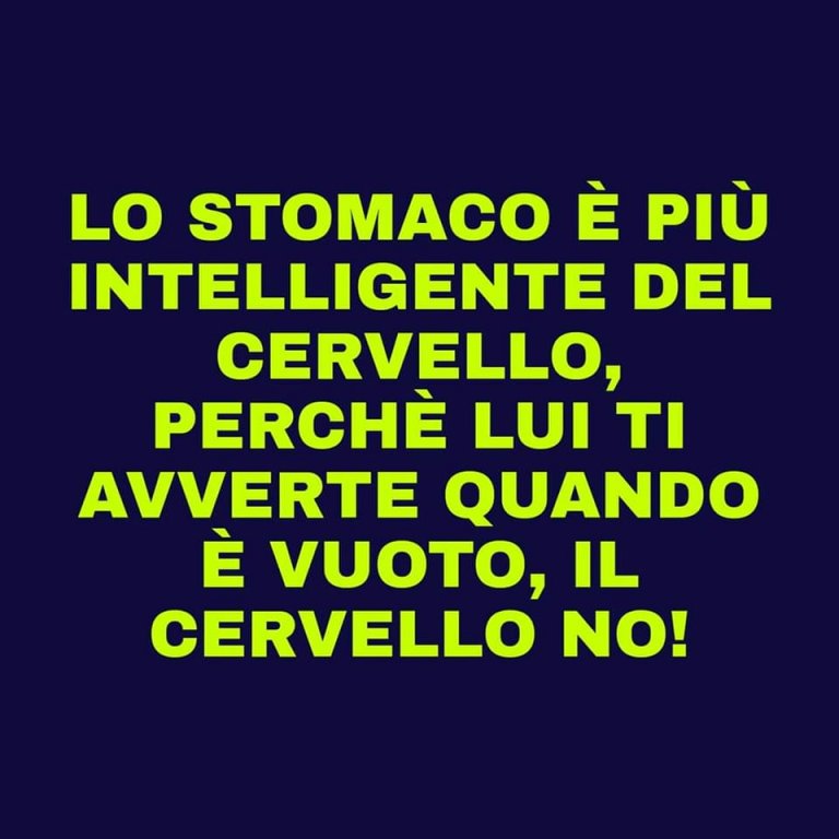 stomaco e cervello