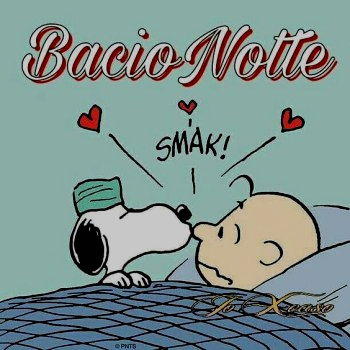 Bacio notte