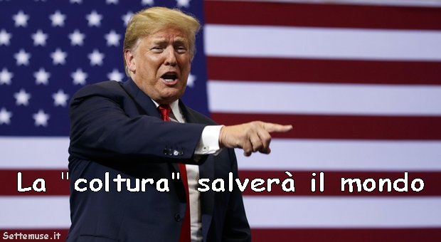 la coltura salverà il mondo 4