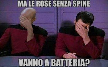 rose senza spina