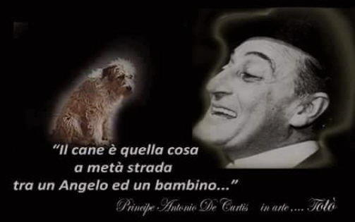 Toto il cane