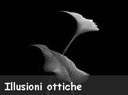 Illusioni ottiche