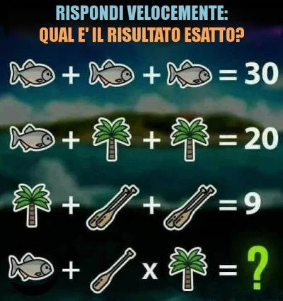 quiz n 8